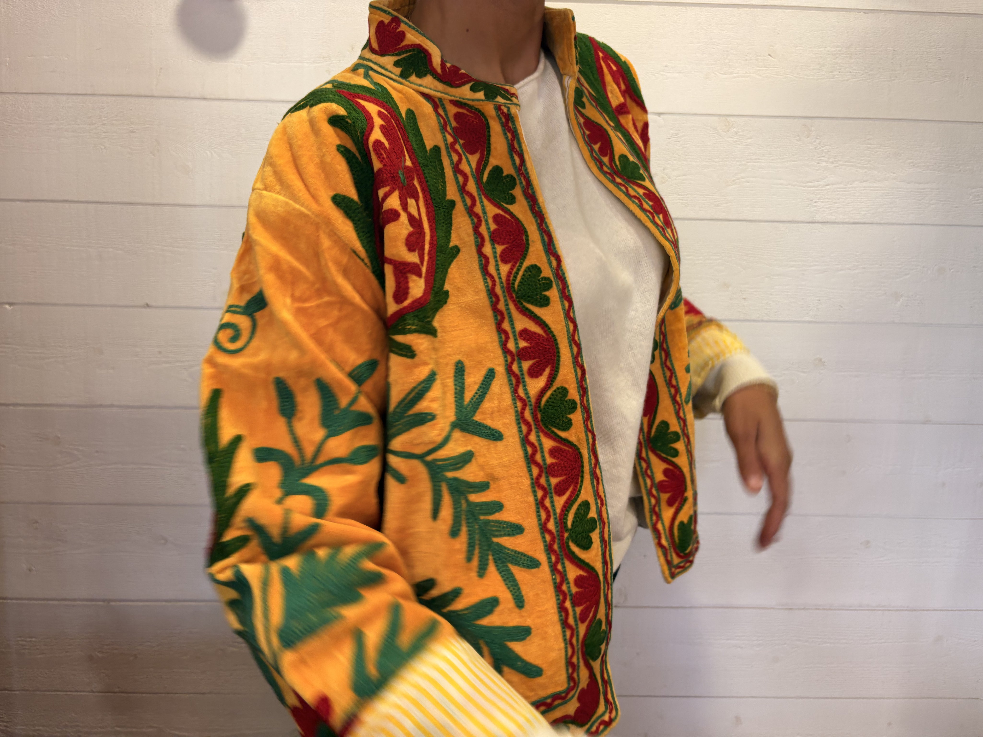 Veste Suzani- Veste velours indienne