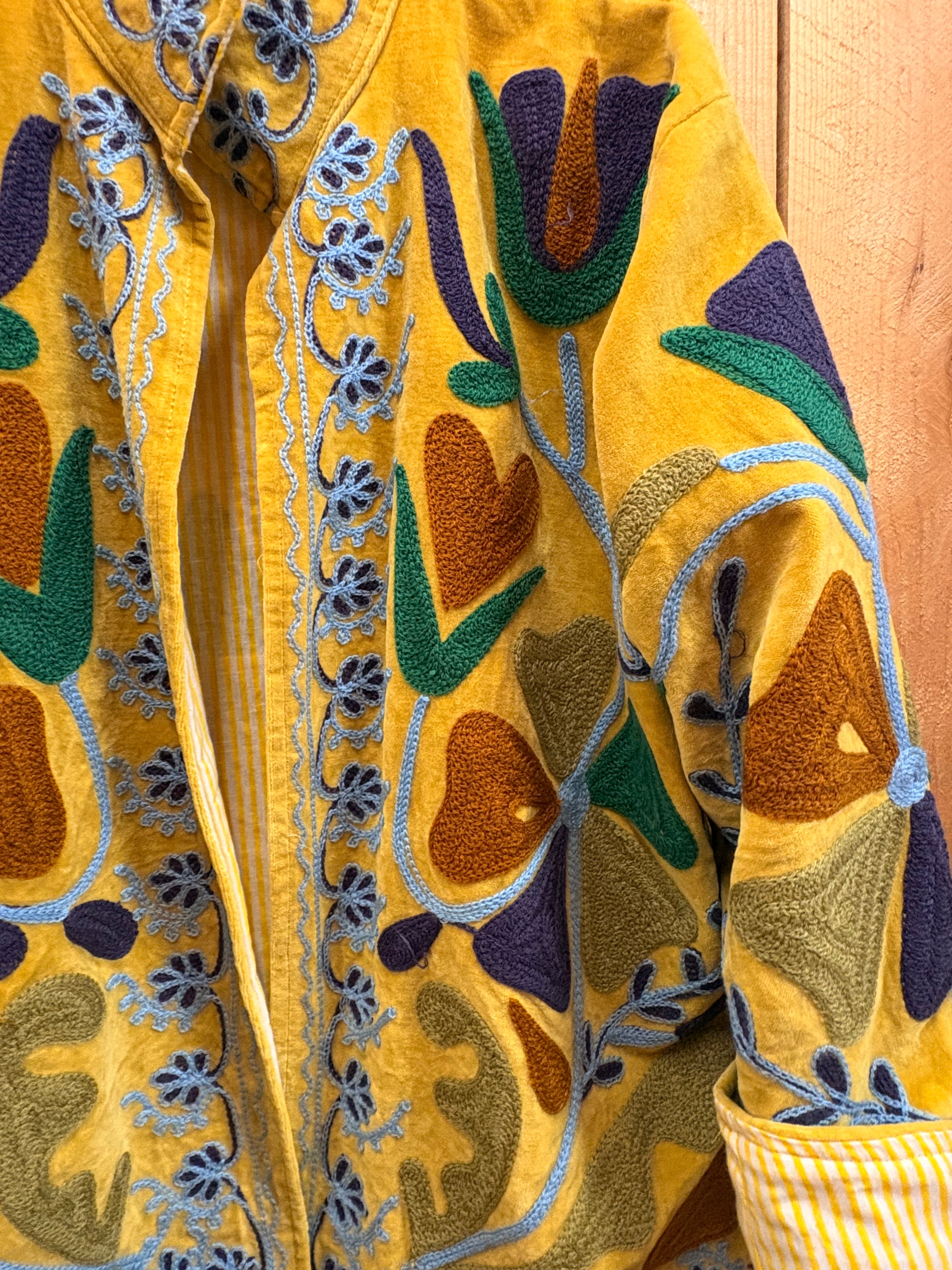Veste Suzani- Veste velours Indienne