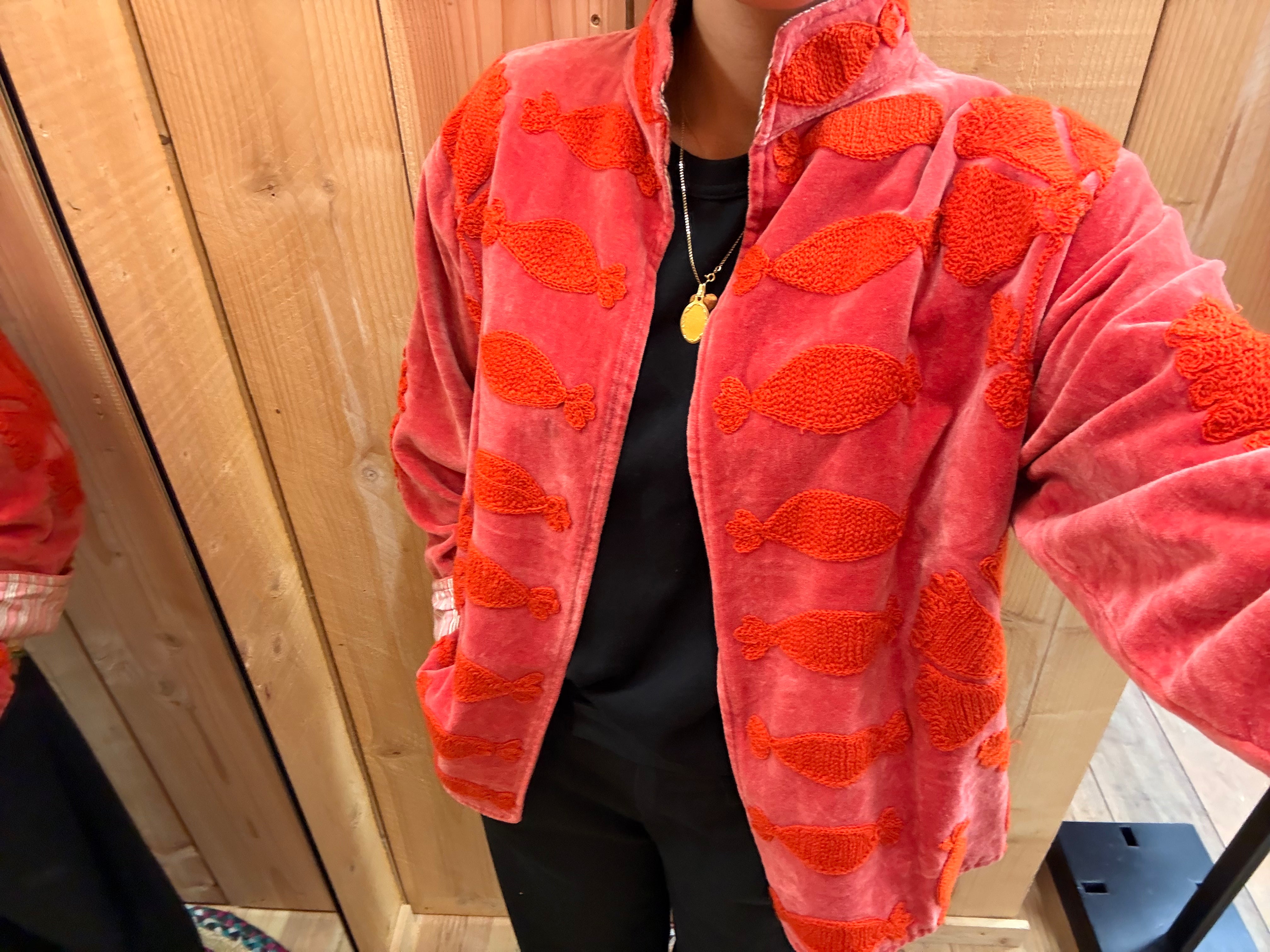 Veste Suzani- Veste velours Indienne